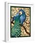 Majestic Peacock II-Paul Brent-Framed Art Print