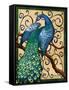 Majestic Peacock II-Paul Brent-Framed Stretched Canvas