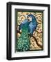 Majestic Peacock II-Paul Brent-Framed Art Print