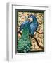 Majestic Peacock II-Paul Brent-Framed Art Print