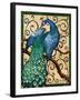 Majestic Peacock II-Paul Brent-Framed Art Print