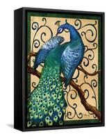 Majestic Peacock II-Paul Brent-Framed Stretched Canvas