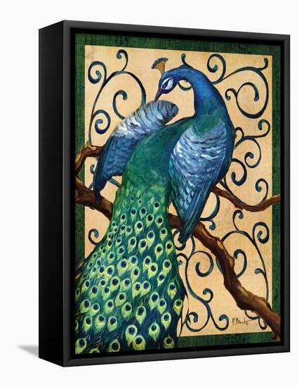 Majestic Peacock II-Paul Brent-Framed Stretched Canvas