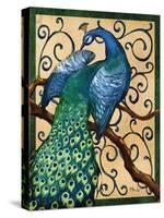 Majestic Peacock II-Paul Brent-Stretched Canvas
