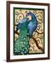 Majestic Peacock II-Paul Brent-Framed Art Print