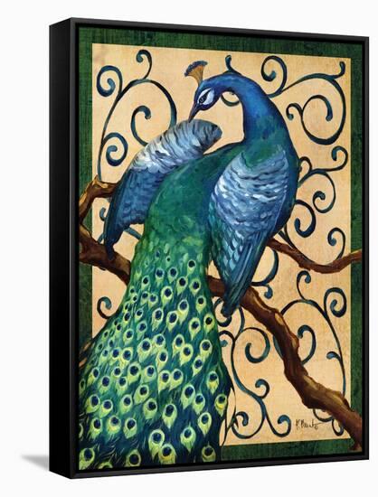 Majestic Peacock II-Paul Brent-Framed Stretched Canvas