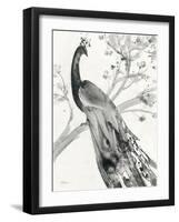 Majestic Peacock-Albena Hristova-Framed Art Print