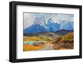 Majestic Peaks of Los Kuernos over Lake Pehoe. on a Dirt Road is worth Guanaco - Lama. the National-kavram-Framed Photographic Print