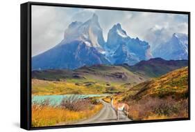 Majestic Peaks of Los Kuernos over Lake Pehoe. on a Dirt Road is worth Guanaco - Lama. the National-kavram-Framed Stretched Canvas