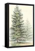 Majestic Pine I-null-Framed Stretched Canvas