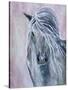 Majestic Stallion 1-Doris Charest-Stretched Canvas