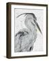 Majestic Stance - Pause-Belle Poesia-Framed Giclee Print