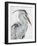 Majestic Stance - Pause-Belle Poesia-Framed Giclee Print