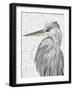 Majestic Stance - Rest-Belle Poesia-Framed Giclee Print