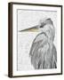 Majestic Stance - Rest-Belle Poesia-Framed Giclee Print