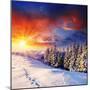 Majestic Sunset In The Winter Mountains Landscape. Hdr Image-Leonid Tit-Mounted Photographic Print