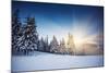 Majestic Sunset in the Winter Mountains Landscape. HDR Image-Leonid Tit-Mounted Photographic Print