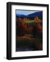 Majestic View-Tim O'toole-Framed Premium Giclee Print