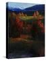 Majestic View-Tim O'toole-Stretched Canvas