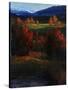 Majestic View-Tim O'toole-Stretched Canvas