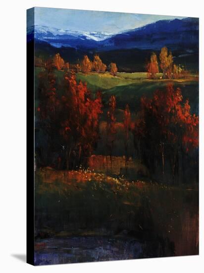 Majestic View-Tim O'toole-Stretched Canvas