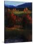 Majestic View-Tim O'toole-Stretched Canvas