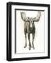 Majestic Wildlife I-Grace Popp-Framed Art Print