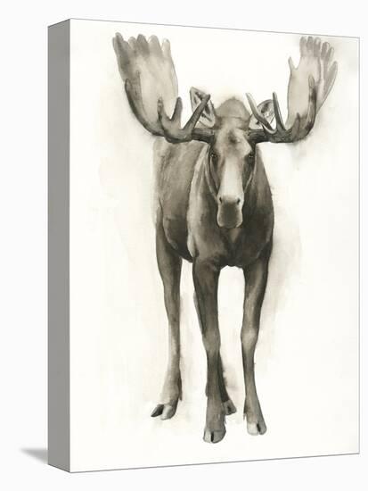 Majestic Wildlife I-Grace Popp-Stretched Canvas