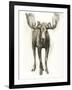 Majestic Wildlife I-Grace Popp-Framed Art Print