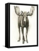 Majestic Wildlife I-Grace Popp-Framed Stretched Canvas