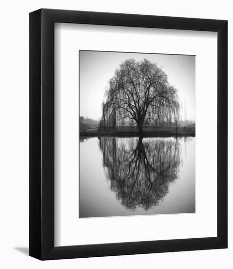 Majestic Willow-null-Framed Art Print