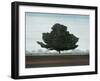 Majestic-Robert Charon-Framed Art Print