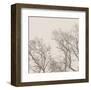 Majesty I (beige)-Erin Clark-Framed Art Print