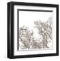 Majesty I-Erin Clark-Framed Giclee Print