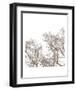 Majesty I-Erin Clark-Framed Art Print