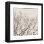 Majesty II (beige)-Erin Clark-Framed Art Print