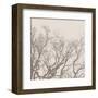 Majesty II (beige)-Erin Clark-Framed Art Print