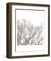 Majesty II-Erin Clark-Framed Art Print