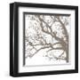 Majesty III-Erin Clark-Framed Giclee Print