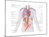Major Arteries and Veins-Encyclopaedia Britannica-Mounted Poster