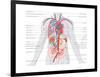 Major Arteries and Veins-Encyclopaedia Britannica-Framed Poster