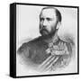 Major General Sir Henry Evelyn Wood, Vc, Kcb, British Soldier, 1884-null-Framed Stretched Canvas