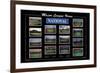 Major League Views-Ira Rosen-Framed Art Print