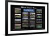 Major League Views-Ira Rosen-Framed Art Print