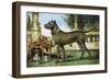 Major Mckinley, the Property of Gen J.T. Torrence, 88 Bellevue Place, Chicago, Ill-Henry H. Cross-Framed Giclee Print