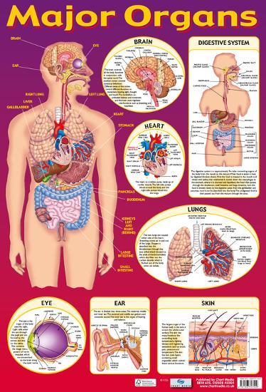 Poster, , large