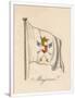 Gramercy White