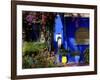 Majorelle Garden, Restored by the Couturier Yves Saint-Laurent, Marrakesh, Morocco-De Mann Jean-Pierre-Framed Photographic Print