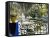 Majorelle Gardens, Marrakech (Marrakesh), Morocco, North Africa, Africa-Bruno Morandi-Framed Stretched Canvas