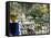 Majorelle Gardens, Marrakech (Marrakesh), Morocco, North Africa, Africa-Bruno Morandi-Framed Stretched Canvas